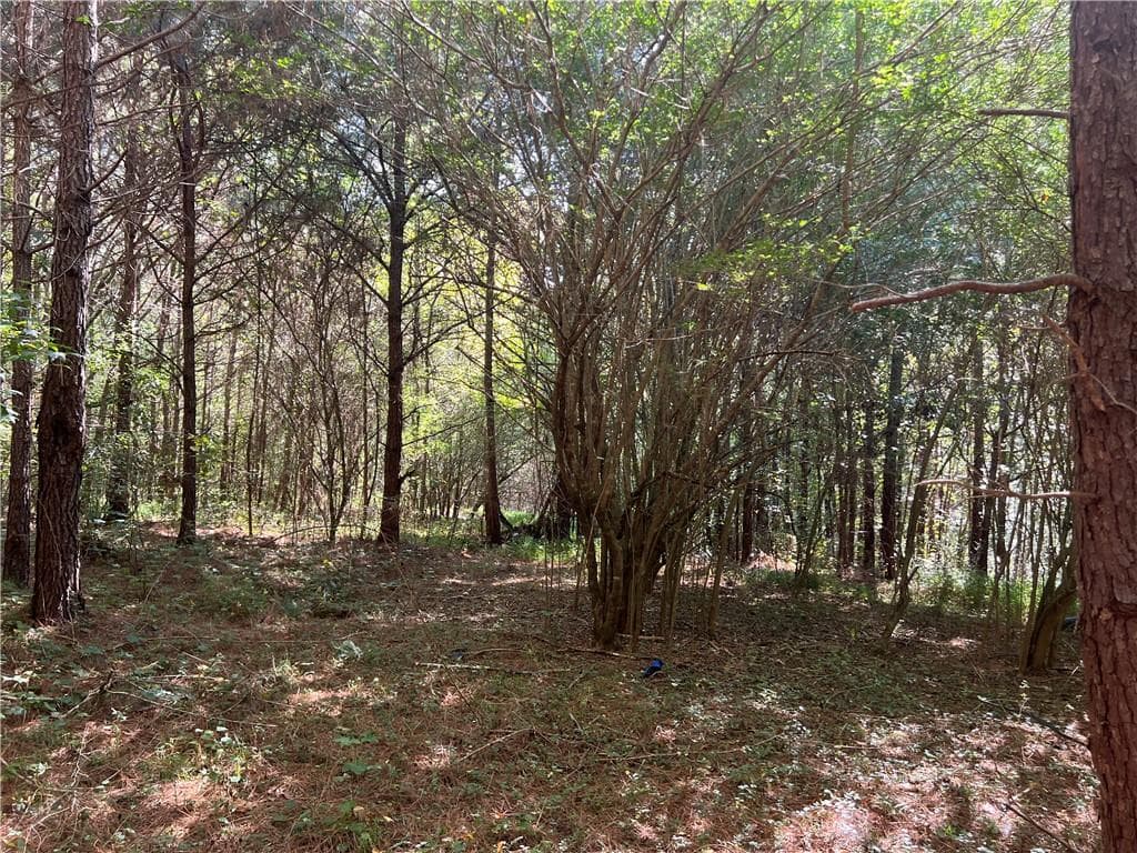 unimproved land for sale at 124 S Kelley Street, Tallapoosa, GA 30176 — photo 3