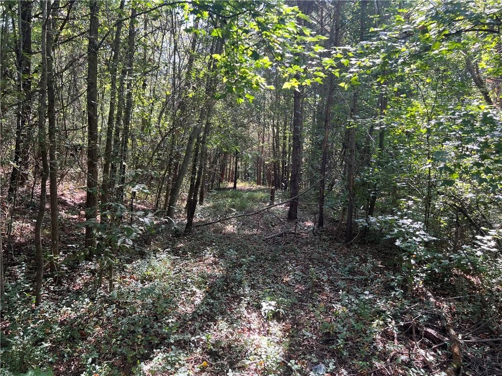 unimproved land for sale at 124 S Kelley Street, Tallapoosa, GA 30176 — photo 4