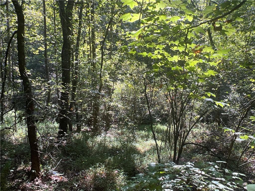 unimproved land for sale at 124 S Kelley Street, Tallapoosa, GA 30176 — photo 5