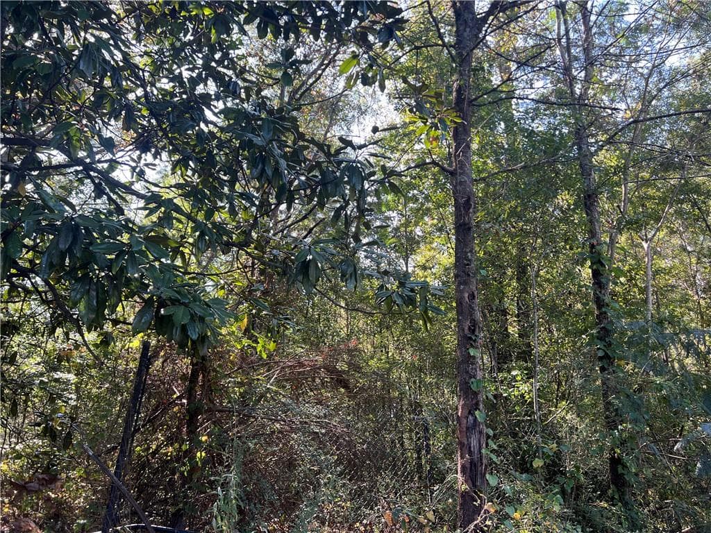 unimproved land for sale at 124 S Kelley Street, Tallapoosa, GA 30176 — photo 6