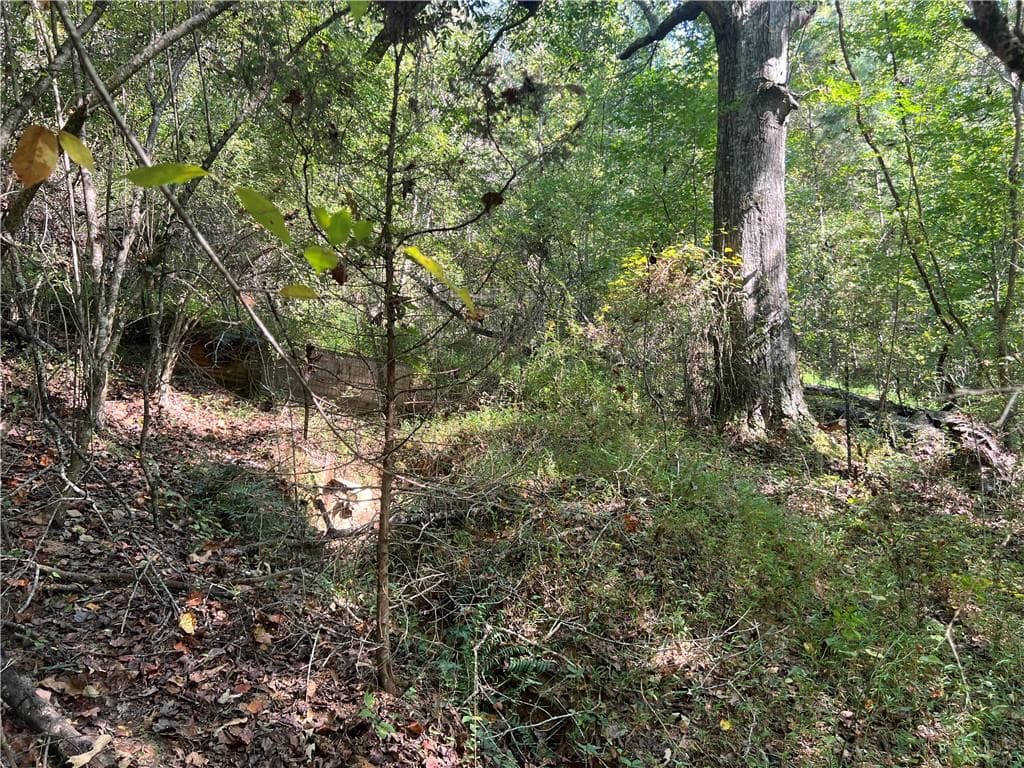 unimproved land for sale at 124 S Kelley Street, Tallapoosa, GA 30176 — photo 7