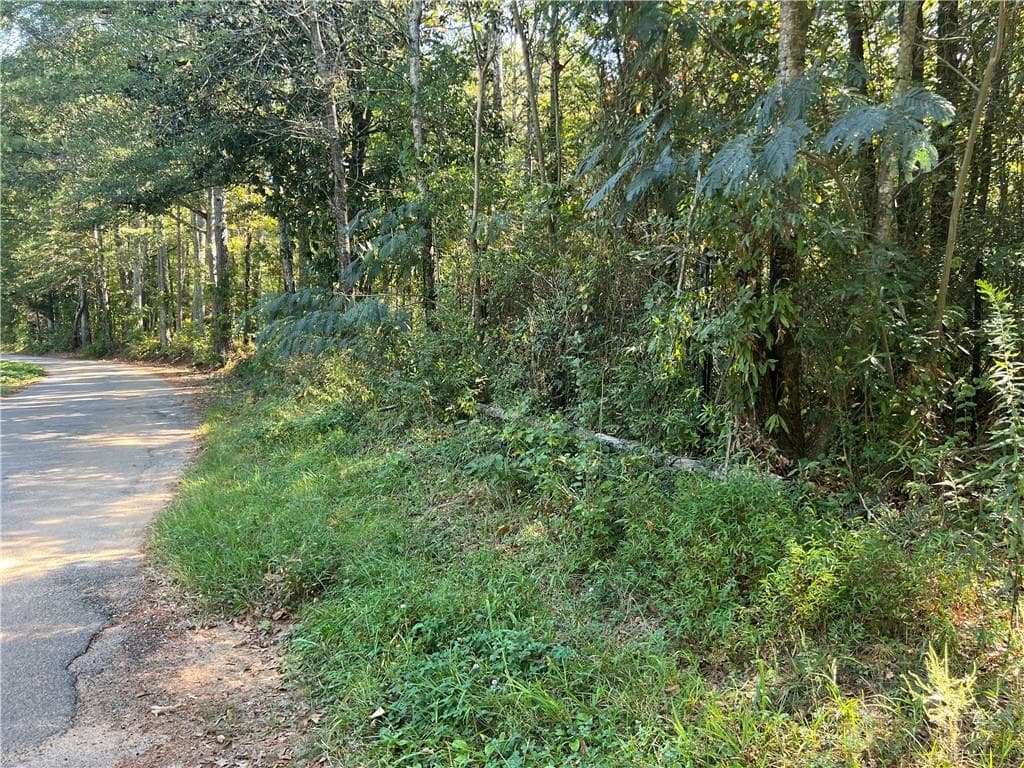 unimproved land for sale at 124 S Kelley Street, Tallapoosa, GA 30176 — photo 8