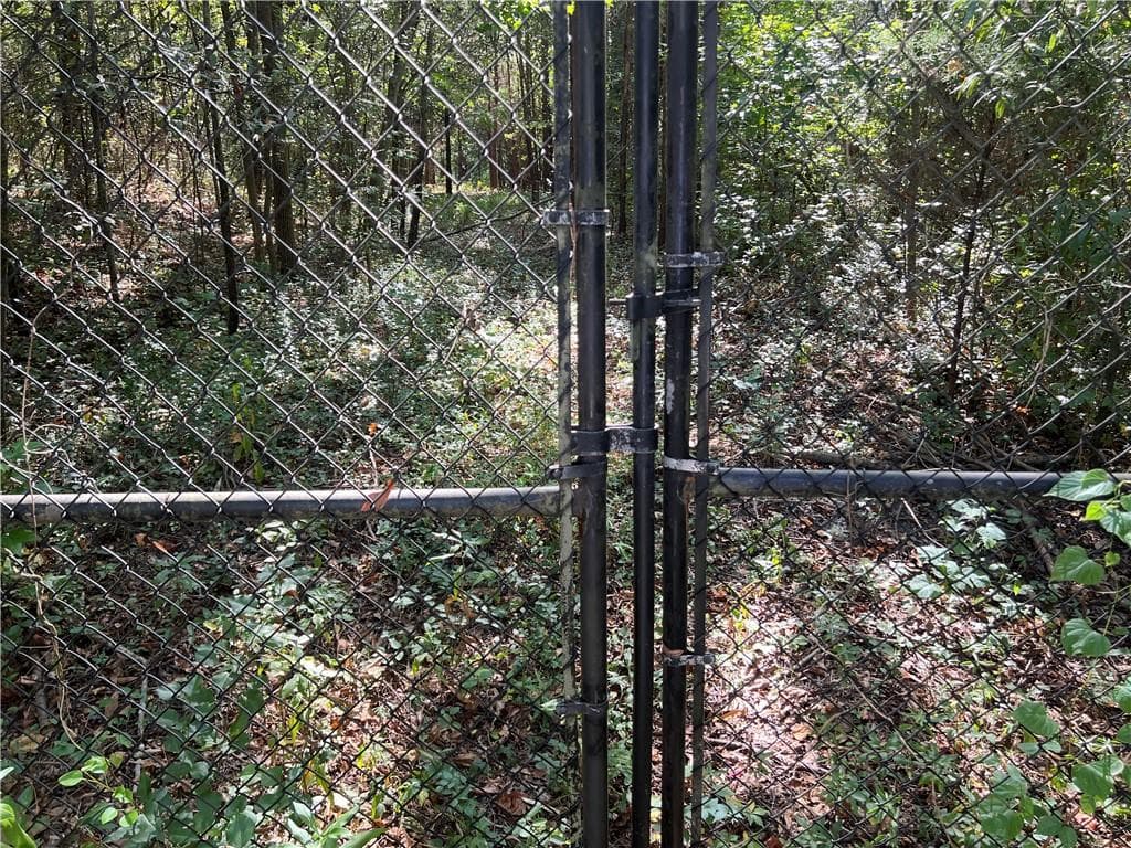 unimproved land for sale at 124 S Kelley Street, Tallapoosa, GA 30176 — photo 9