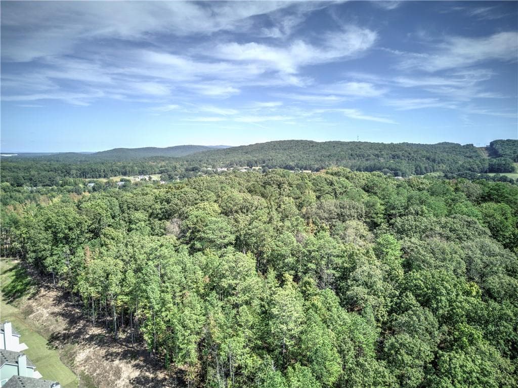 unimproved land for sale at 0 Cline Smith, Cartersville, GA 30121 — photo 5