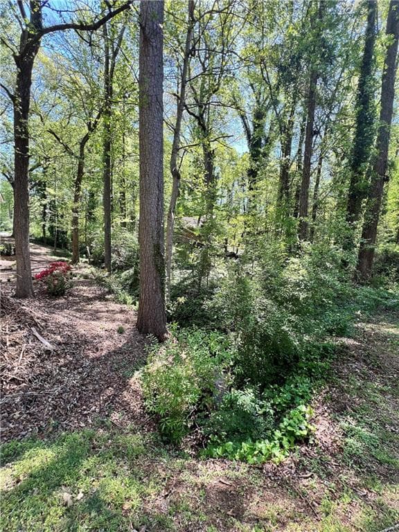 other for sale at 2540 Stoney Brook Lane, Marietta, GA 30062 — photo 8