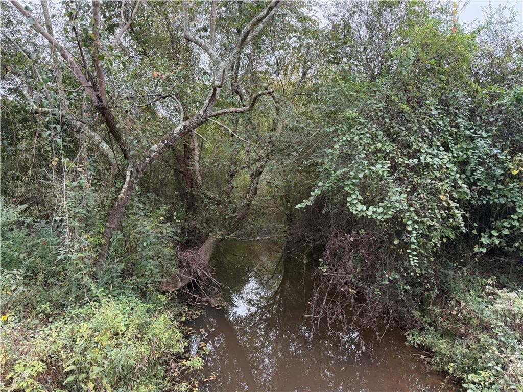unimproved land for sale at 0 County Road 60, Heflin, AL 36264 — photo 2