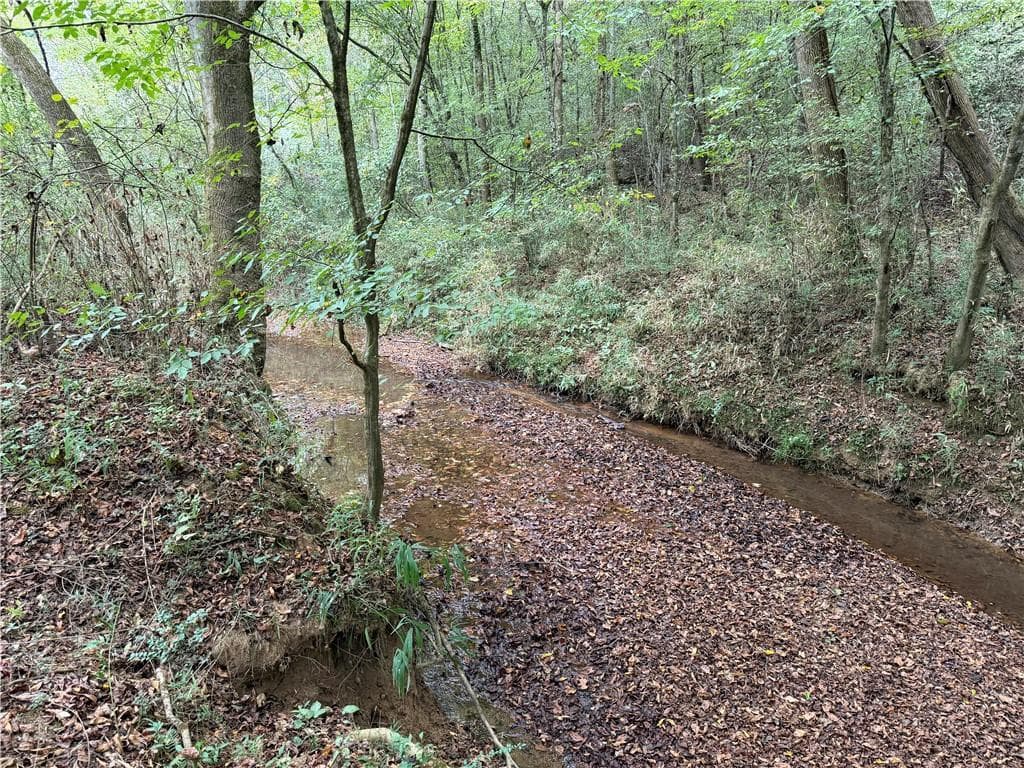 unimproved land for sale at 0 County Road 60, Heflin, AL 36264 — photo 3