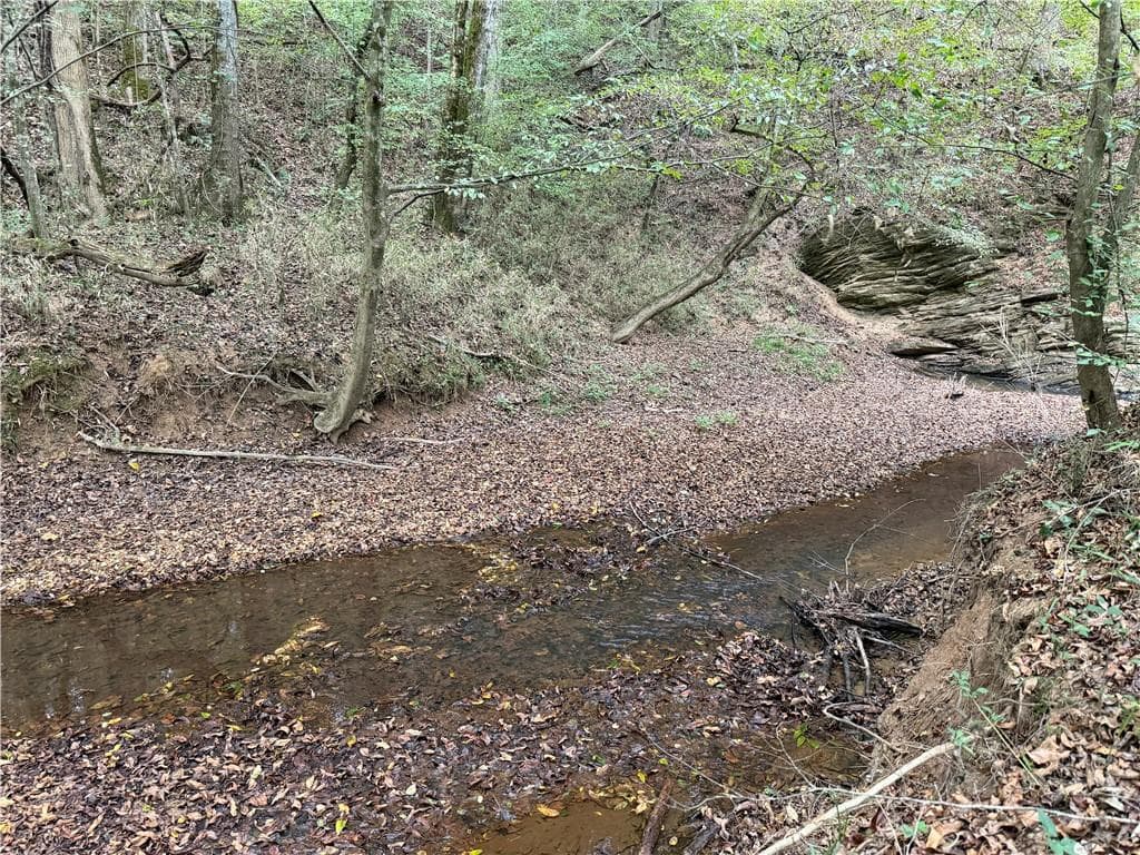 unimproved land for sale at 0 County Road 60, Heflin, AL 36264 — photo 4