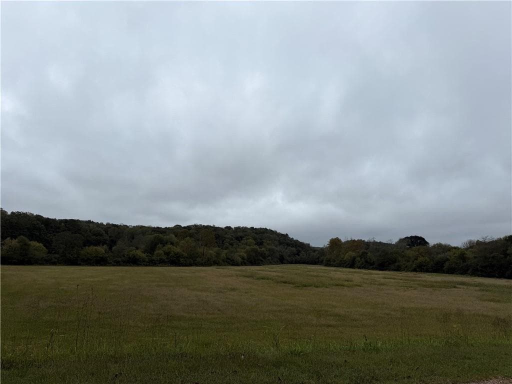 unimproved land for sale at 0 County Road 60, Heflin, AL 36264 — photo 5