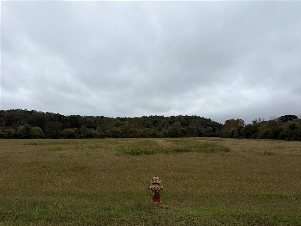 unimproved land for sale at 0 County Road 60, Heflin, AL 36264 — photo 6