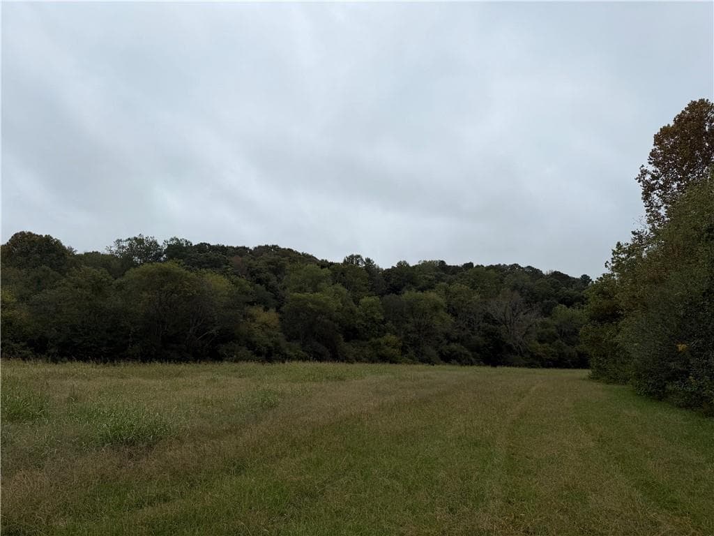 unimproved land for sale at 0 County Road 60, Heflin, AL 36264 — photo 7