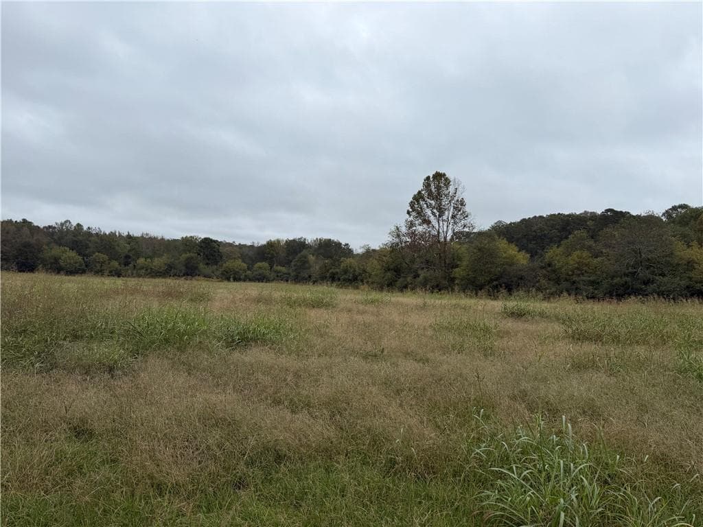 unimproved land for sale at 0 County Road 60, Heflin, AL 36264 — photo 8