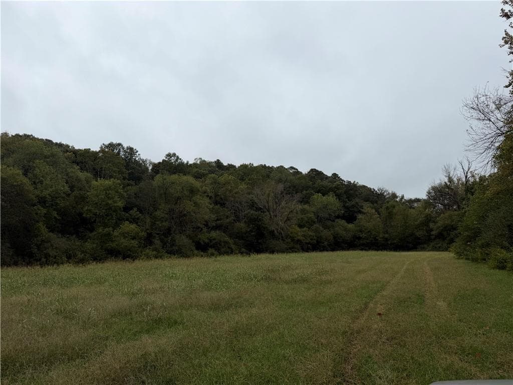 unimproved land for sale at 0 County Road 60, Heflin, AL 36264 — photo 9
