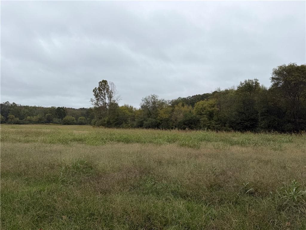 unimproved land for sale at 0 County Road 60, Heflin, AL 36264 — photo 10