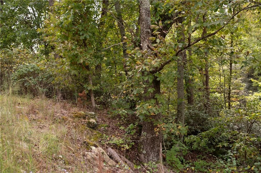 single family residence for sale at 3831 Skyline Drive, Gainesville, GA 30501 — photo 3