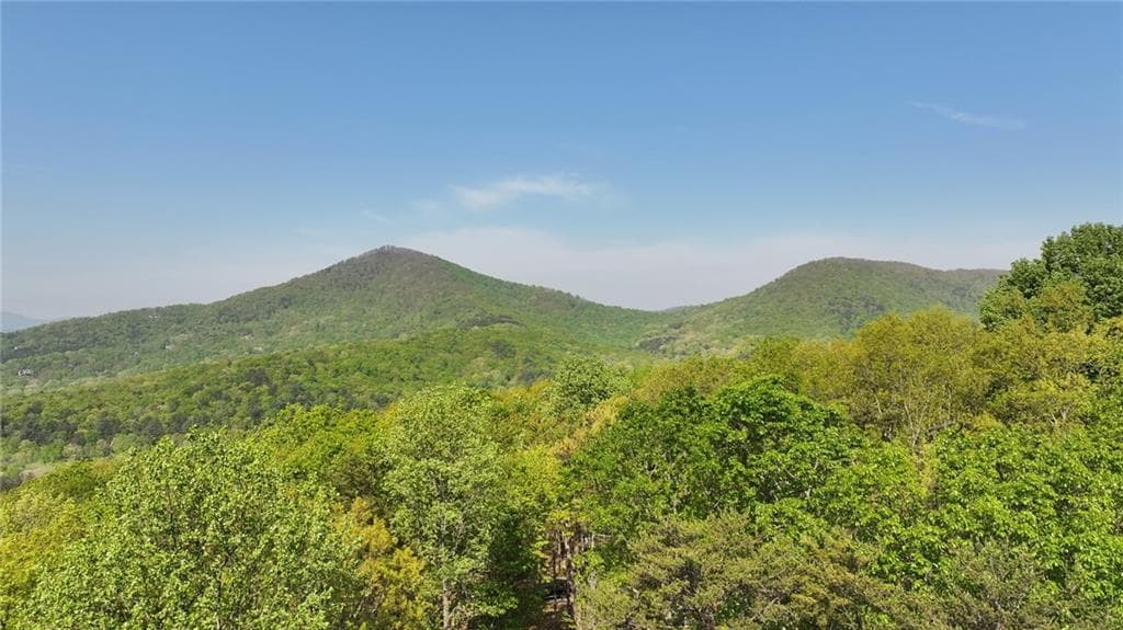 single family residence for sale at 4428 Bee Tree Ridge Drive, Jasper, GA 30143 — photo 5