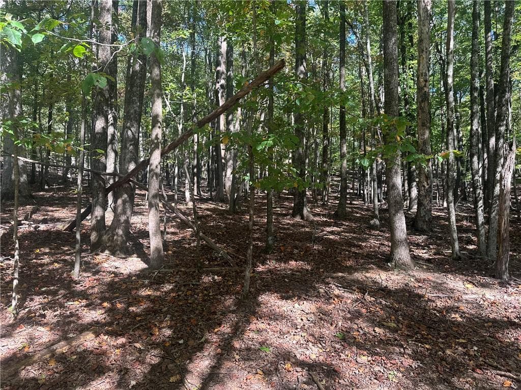 single family residence for sale at Lt1352 Willow Terrace, Jasper, GA 30143 — photo 2