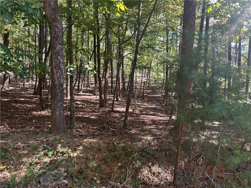 single family residence for sale at Lt1351 Willow Terrace, Jasper, GA 30143 — photo 2