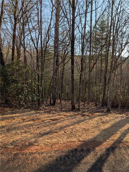 single family residence for sale at 0 Yahoola Ridge, Dahlonega, GA 30533 — photo 7