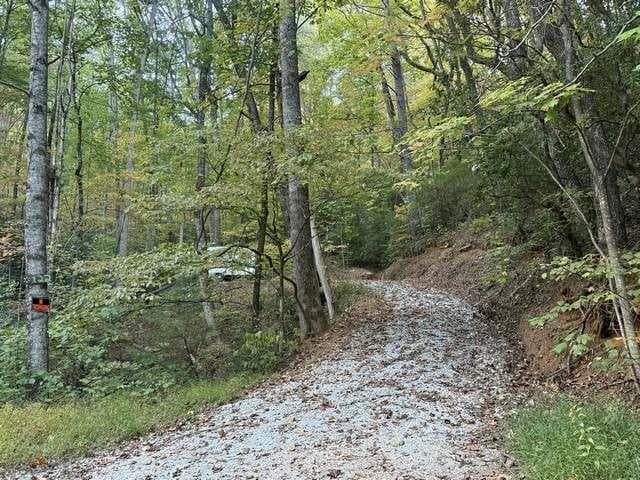single family residence for sale at 0 Wood Sorrel Lane, Clayton, GA 30525 — photo 2