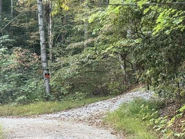 single family residence for sale at 0 Wood Sorrel Lane, Clayton, GA 30525 — photo 3