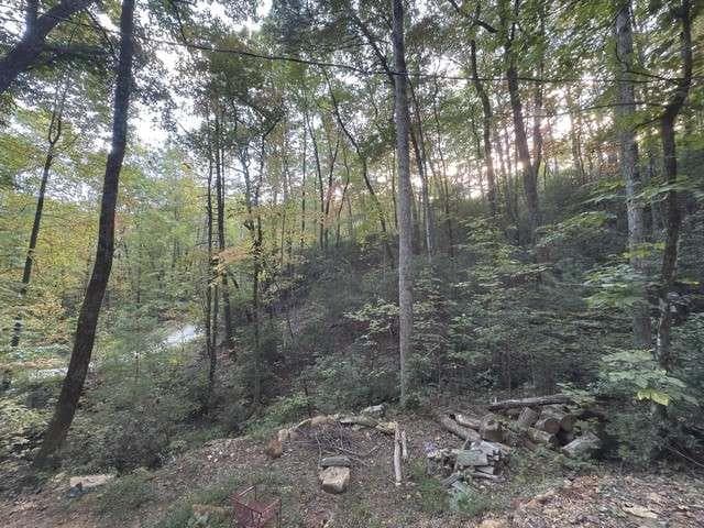 single family residence for sale at 0 Wood Sorrel Lane, Clayton, GA 30525 — photo 6