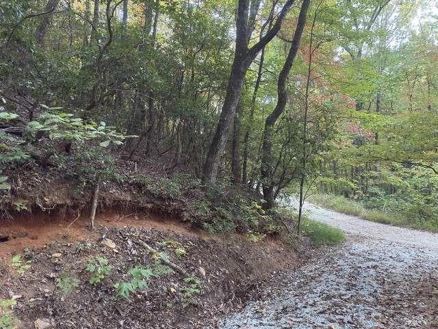 single family residence for sale at 0 Wood Sorrel Lane, Clayton, GA 30525 — photo 10