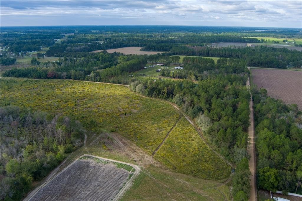 unimproved land for sale at 284 Barrett Road, Sparks, GA 31647 — photo 2