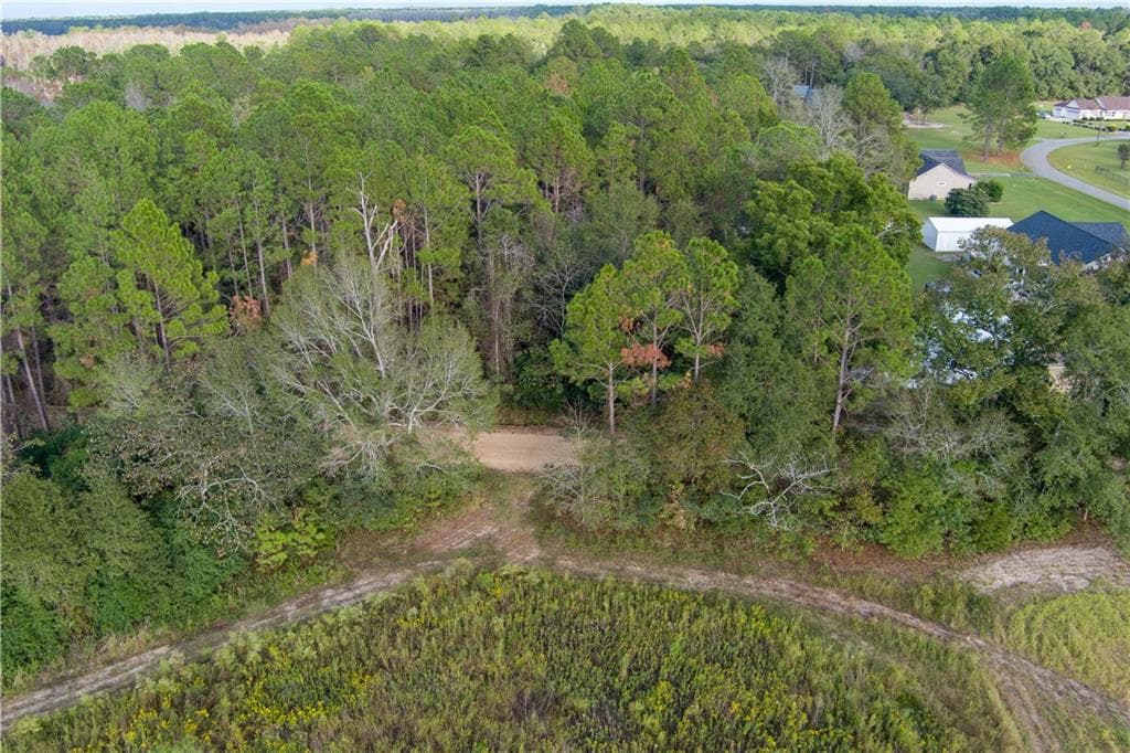 unimproved land for sale at 284 Barrett Road, Sparks, GA 31647 — photo 6