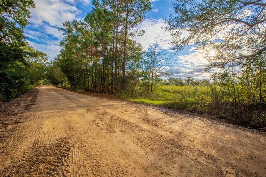 unimproved land for sale at 284 Barrett Road, Sparks, GA 31647 — photo 7