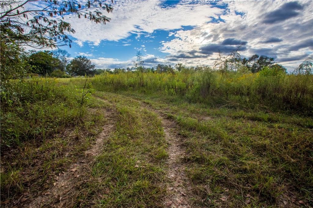 unimproved land for sale at 284 Barrett Road, Sparks, GA 31647 — photo 8