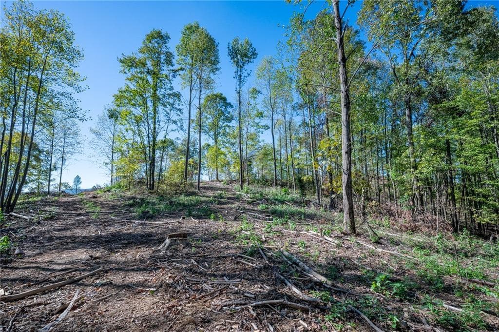 single family residence for sale at 3887 HWY 140, Rydal, GA 30171 — photo 5