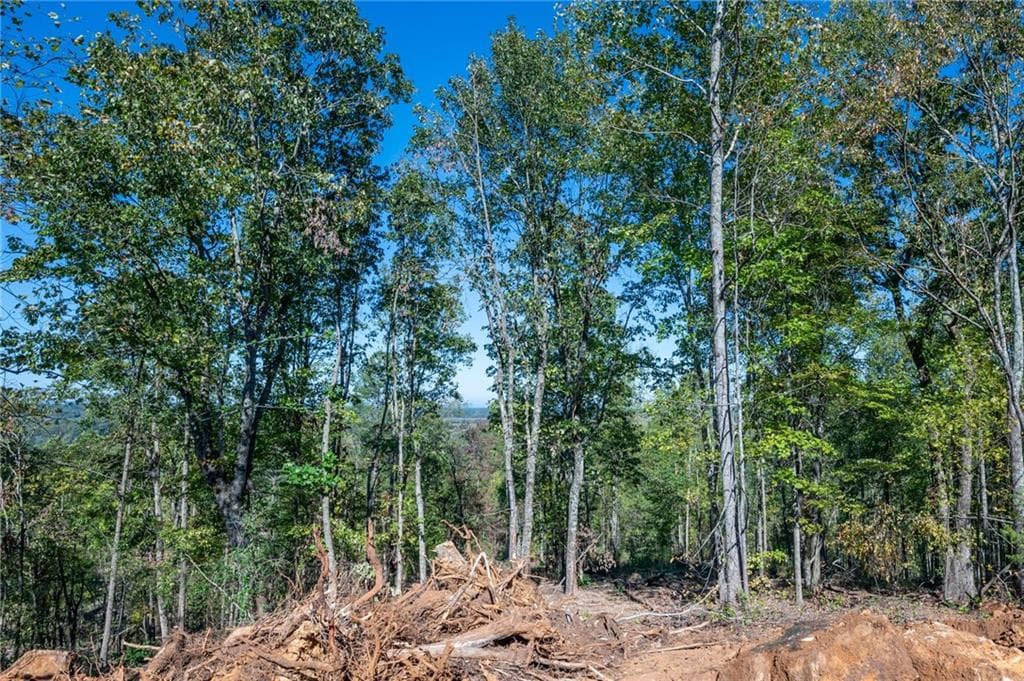 single family residence for sale at 3887 HWY 140, Rydal, GA 30171 — photo 6