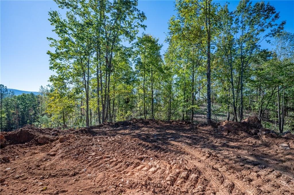 single family residence for sale at 3887 HWY 140, Rydal, GA 30171 — photo 8