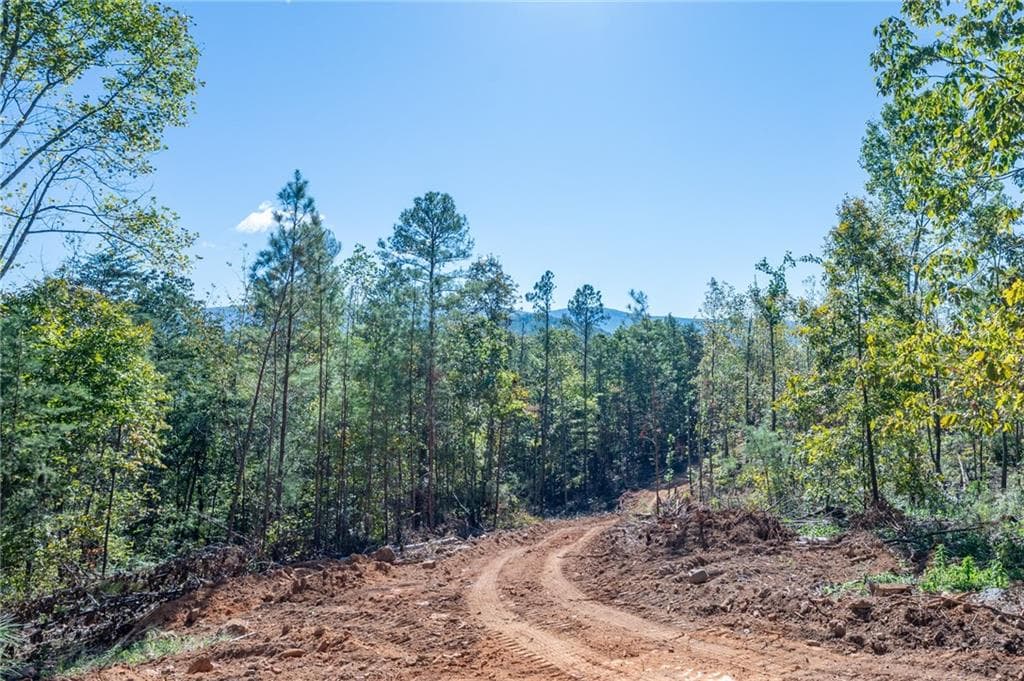 single family residence for sale at 3887 HWY 140, Rydal, GA 30171 — photo 9