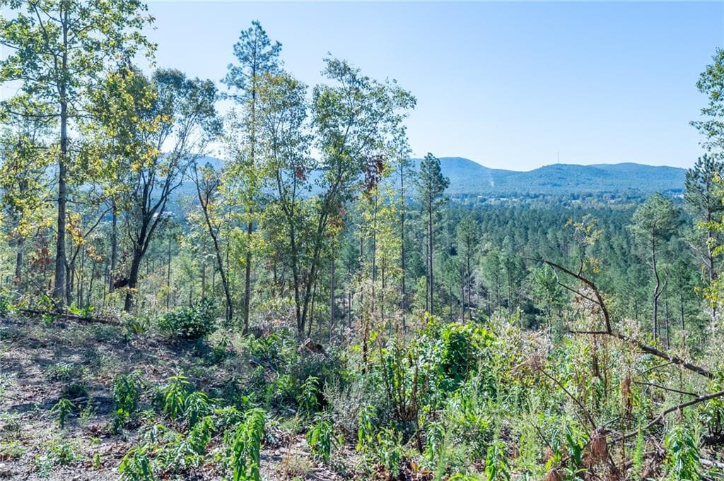 single family residence for sale at 3879 HWY 140, Rydal, GA 30171 — photo 1 of 10
