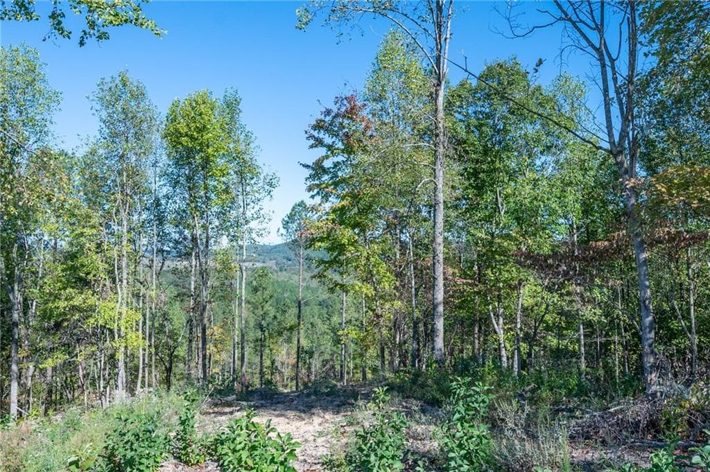 single family residence for sale at 3879 HWY 140, Rydal, GA 30171 — photo 4