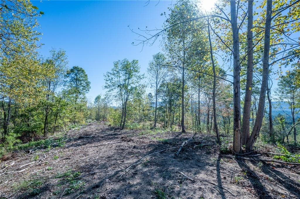single family residence for sale at 3879 HWY 140, Rydal, GA 30171 — photo 5