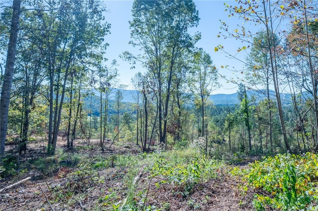single family residence for sale at 3879 HWY 140, Rydal, GA 30171 — photo 6