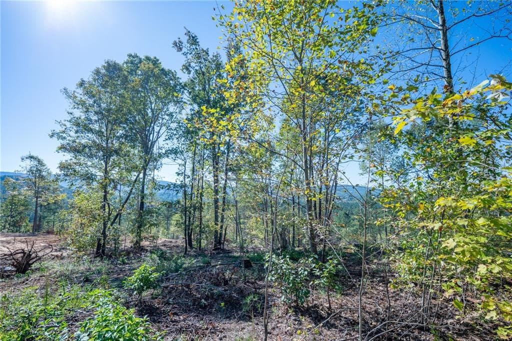 single family residence for sale at 3879 HWY 140, Rydal, GA 30171 — photo 7