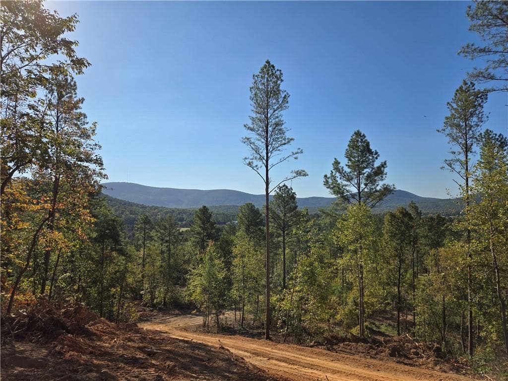 single family residence for sale at 3879 HWY 140, Rydal, GA 30171 — photo 10