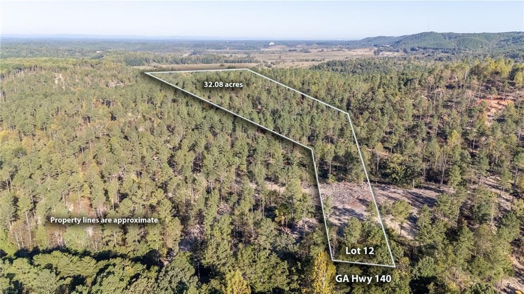 single family residence for sale at 3875 HWY 140, Rydal, GA 30171 — photo 3