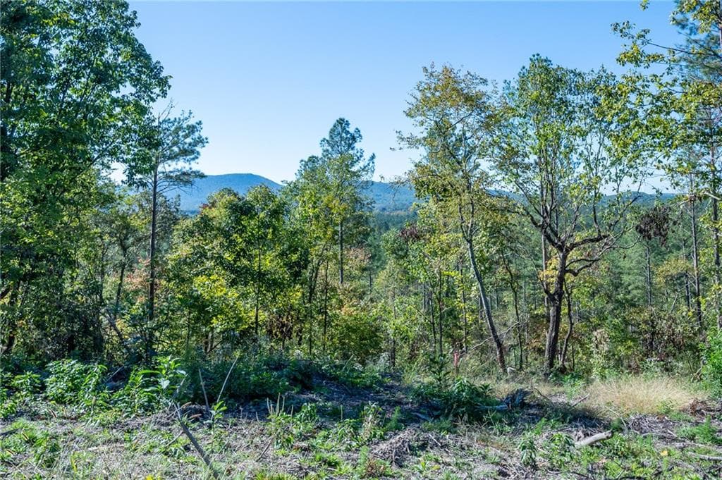 single family residence for sale at 3875 HWY 140, Rydal, GA 30171 — photo 4