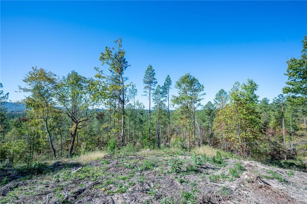 single family residence for sale at 3875 HWY 140, Rydal, GA 30171 — photo 5