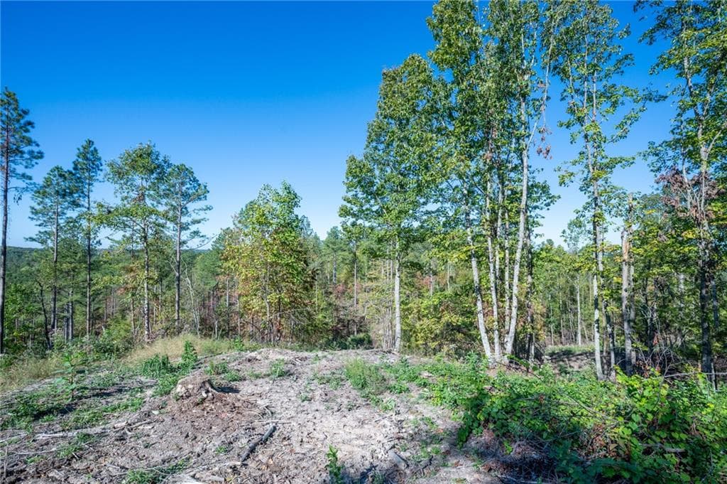 single family residence for sale at 3875 HWY 140, Rydal, GA 30171 — photo 6