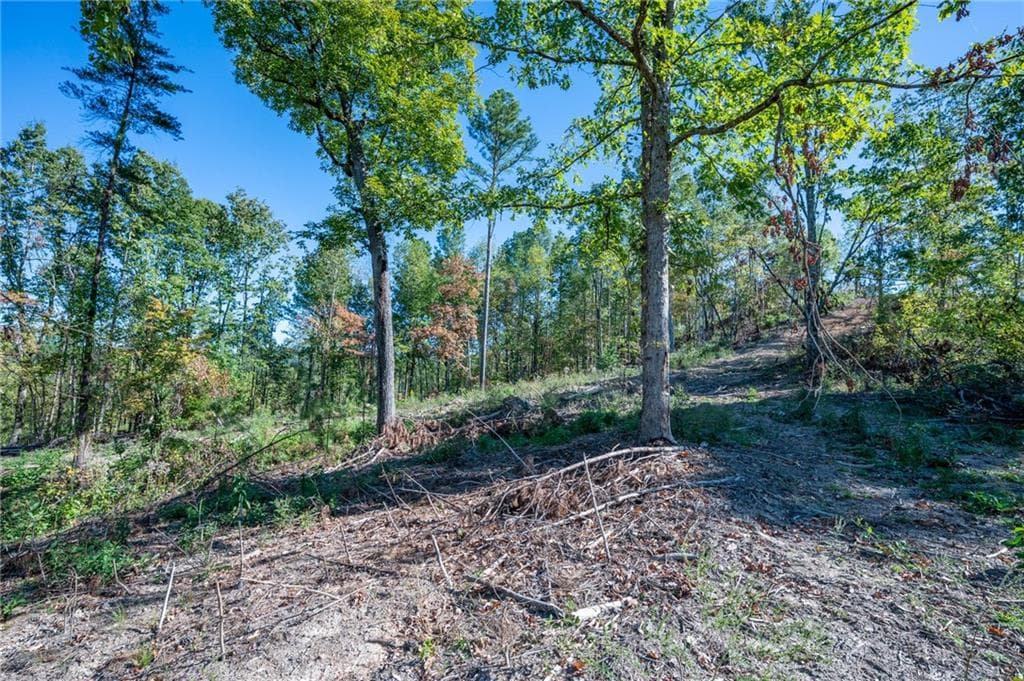 single family residence for sale at 3875 HWY 140, Rydal, GA 30171 — photo 7
