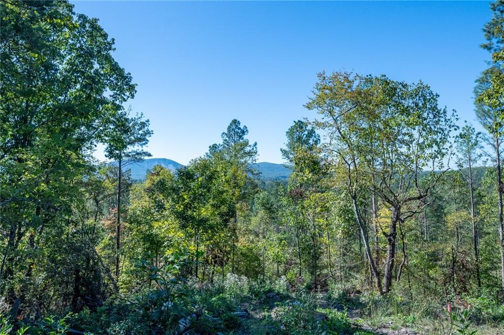 single family residence for sale at 3875 HWY 140, Rydal, GA 30171 — photo 8