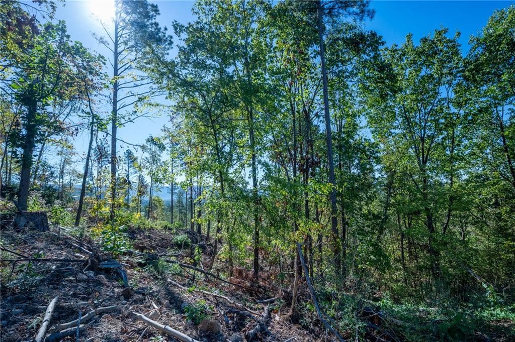 single family residence for sale at 3875 HWY 140, Rydal, GA 30171 — photo 9