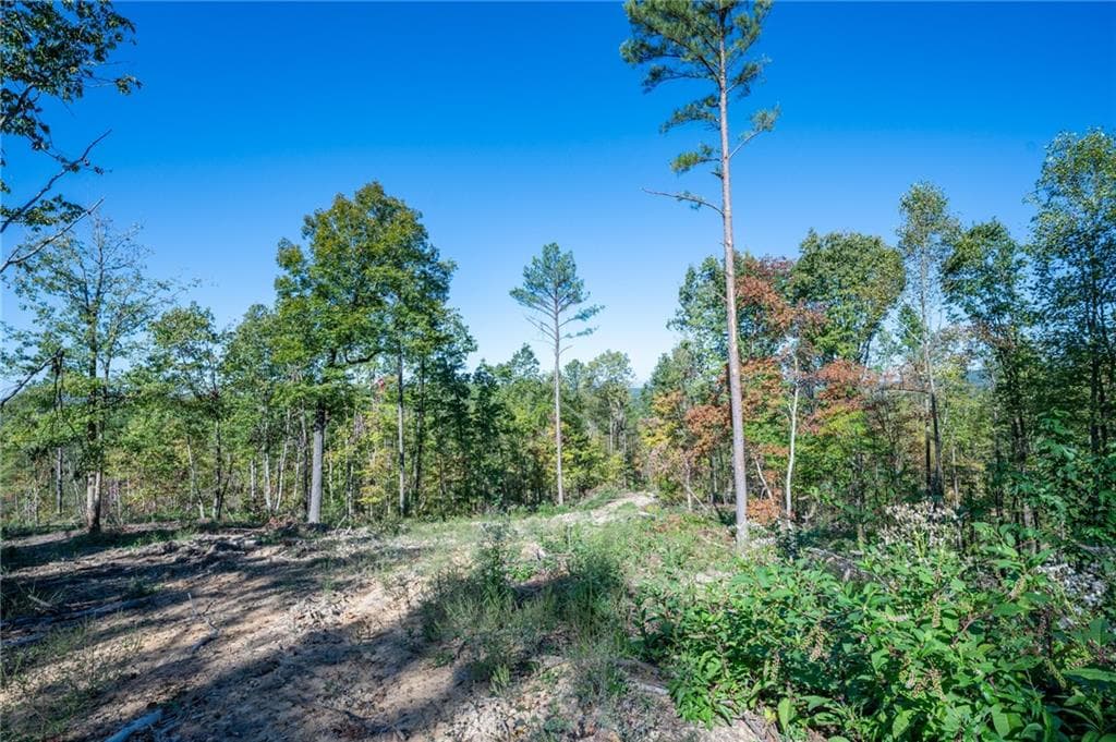 single family residence for sale at 3875 HWY 140, Rydal, GA 30171 — photo 10