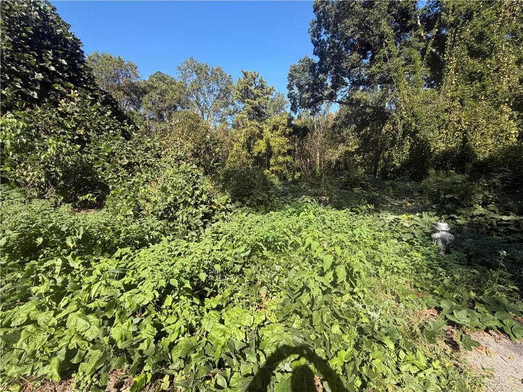 unimproved land for sale at 3194 Robinson Avenue, Scottdale, GA 30079 — photo 3